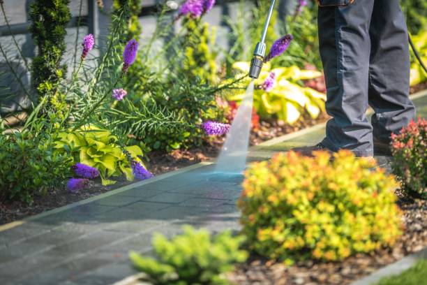 Best House Exterior Washing  in Sellersville, PA